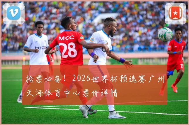 抢票必备！2026世界杯预选赛广州天河体育中心票价详情