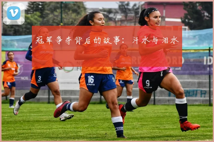 冠军争夺背后的故事：汗水与泪水