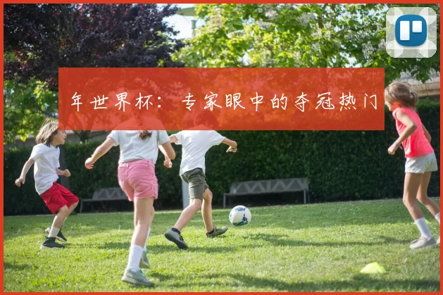 年世界杯：专家眼中的夺冠热门