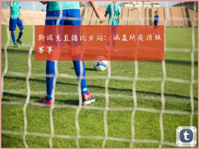 斯诺克直播比分站：涵盖所有顶级赛事