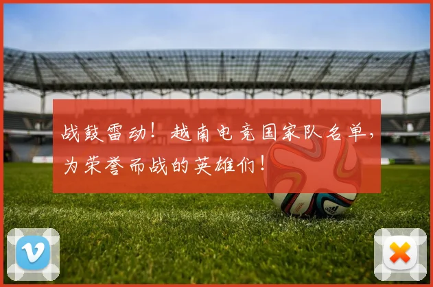 战鼓雷动！越南电竞国家队名单，为荣誉而战的英雄们！