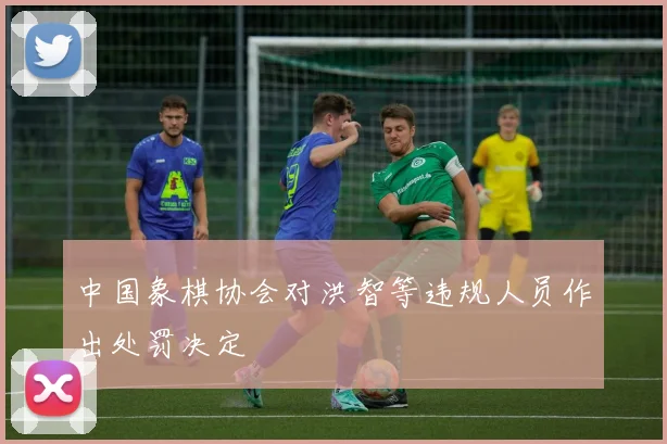 中国象棋协会对洪智等违规人员作出处罚决定