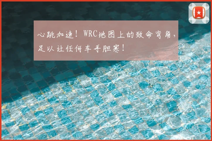 心跳加速！WRC地图上的致命弯角，足以让任何车手胆寒！