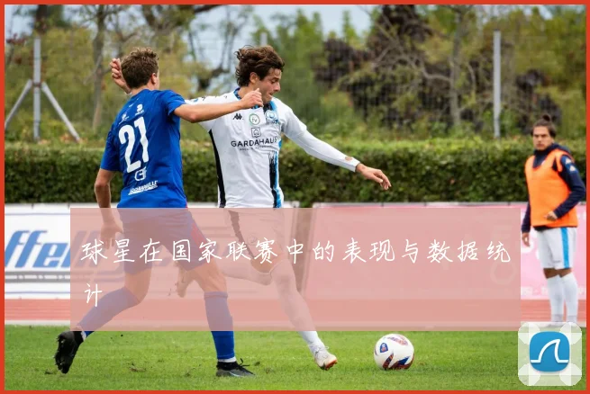 球星在国家联赛中的表现与数据统计