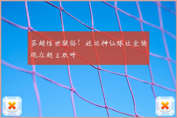 苏超惊世骇俗！这记神仙球让全场观众起立欢呼