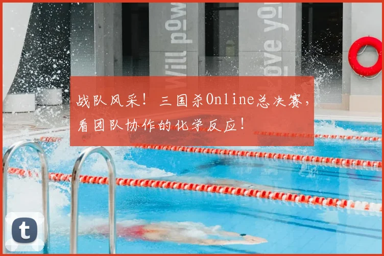 战队风采！三国杀Online总决赛，看团队协作的化学反应！