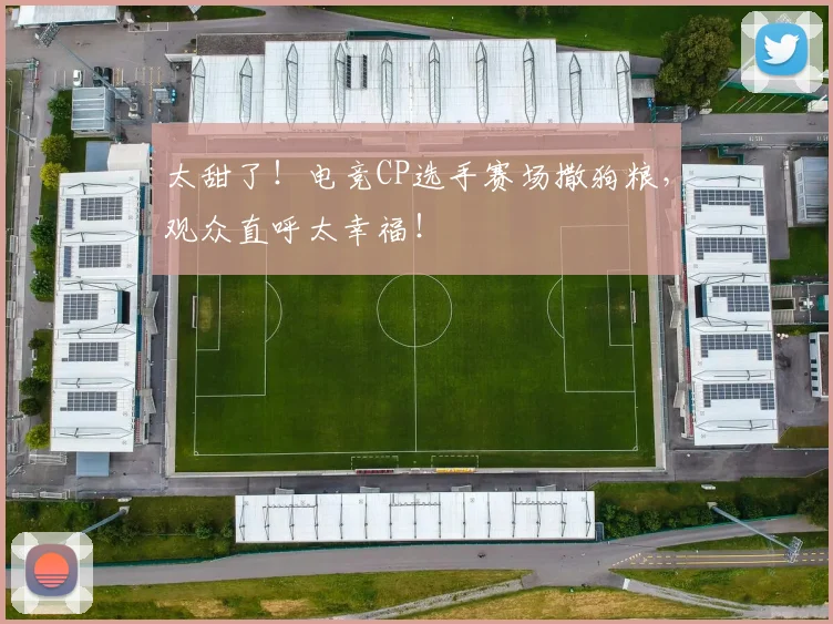 太甜了！电竞CP选手赛场撒狗粮，观众直呼太幸福！