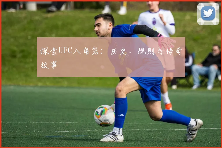 探索UFC八角笼：历史、规则与传奇故事