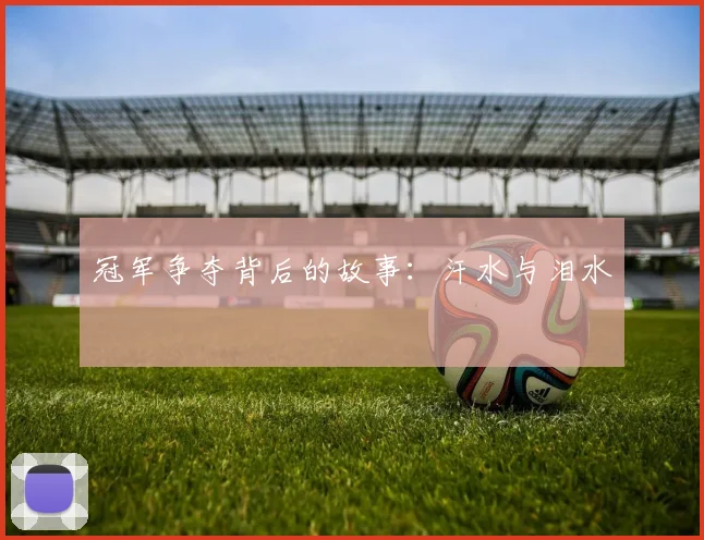 冠军争夺背后的故事：汗水与泪水